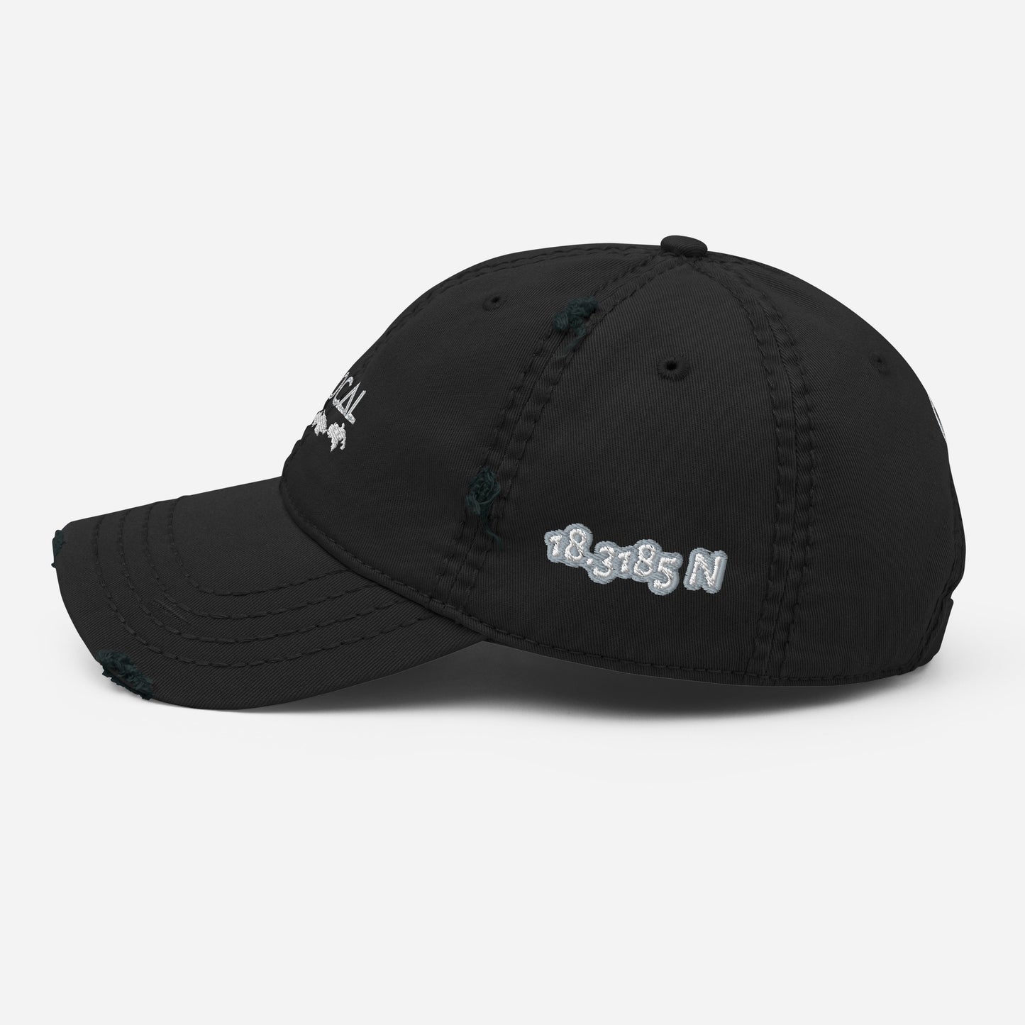 Distressed Dad Hat