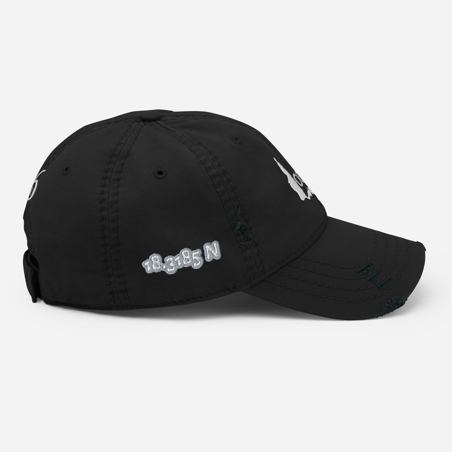 Distressed Dad Hat