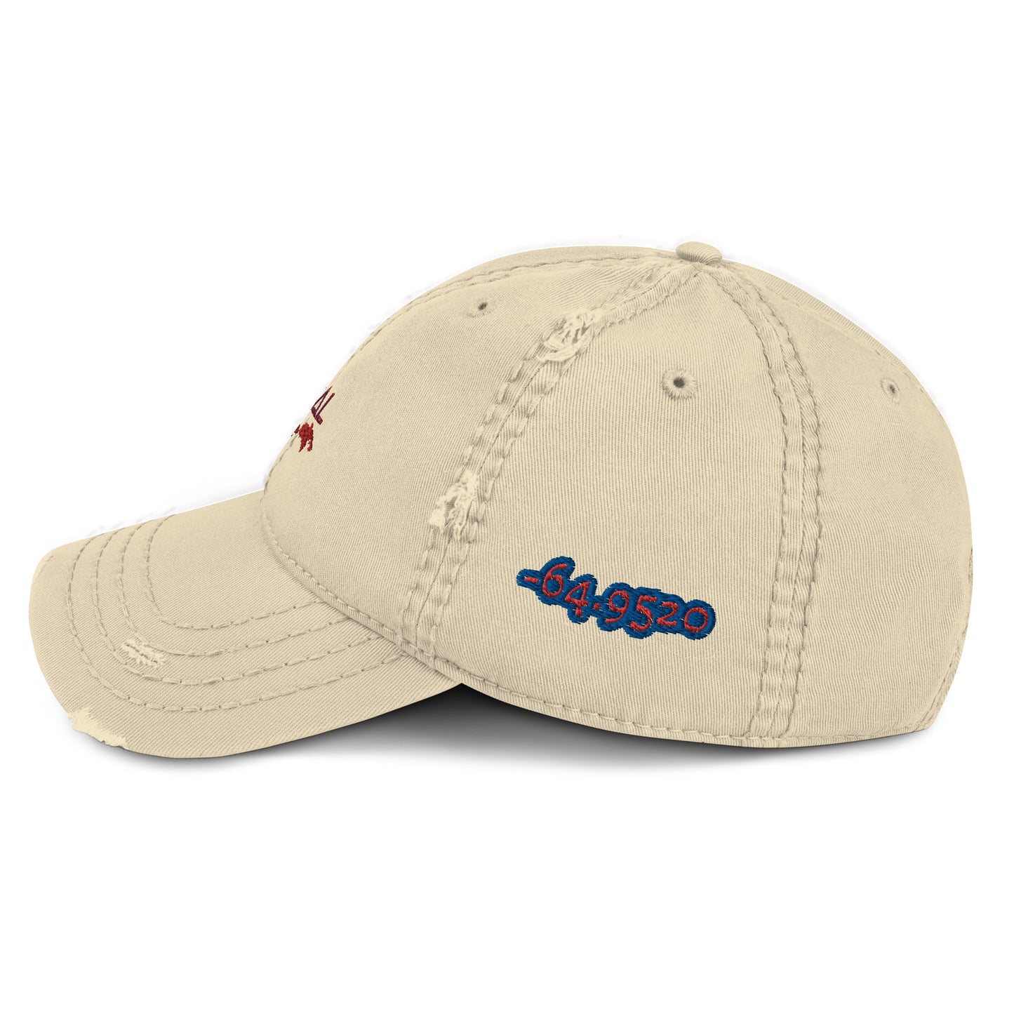 Distressed Dad Hat